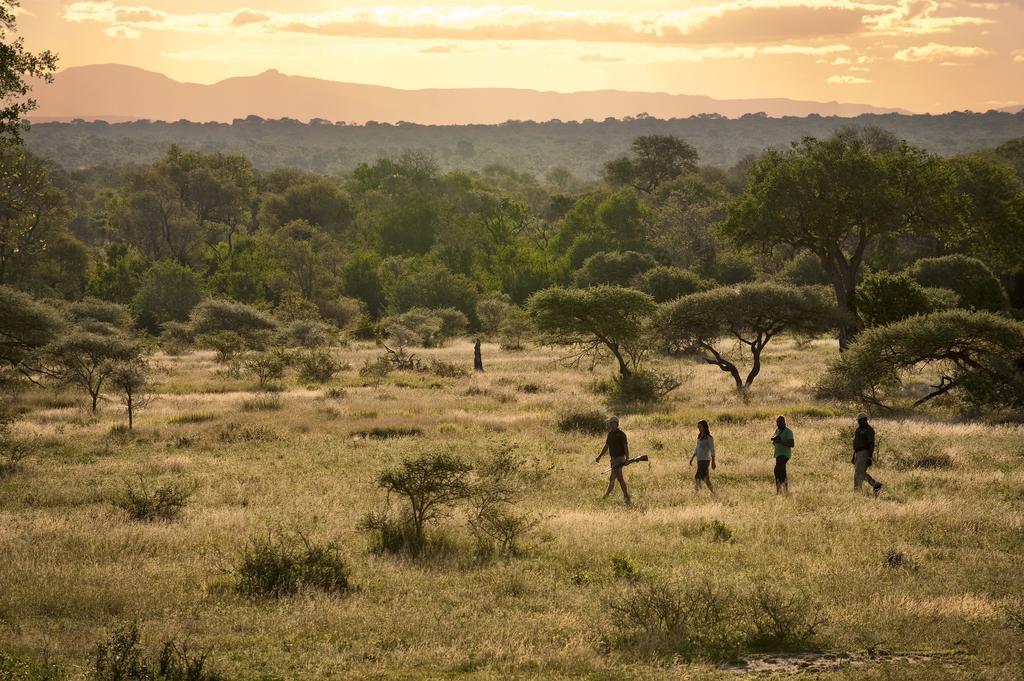Lion Sands River Lodge Sabi Sand Game Reserve Εξωτερικό φωτογραφία