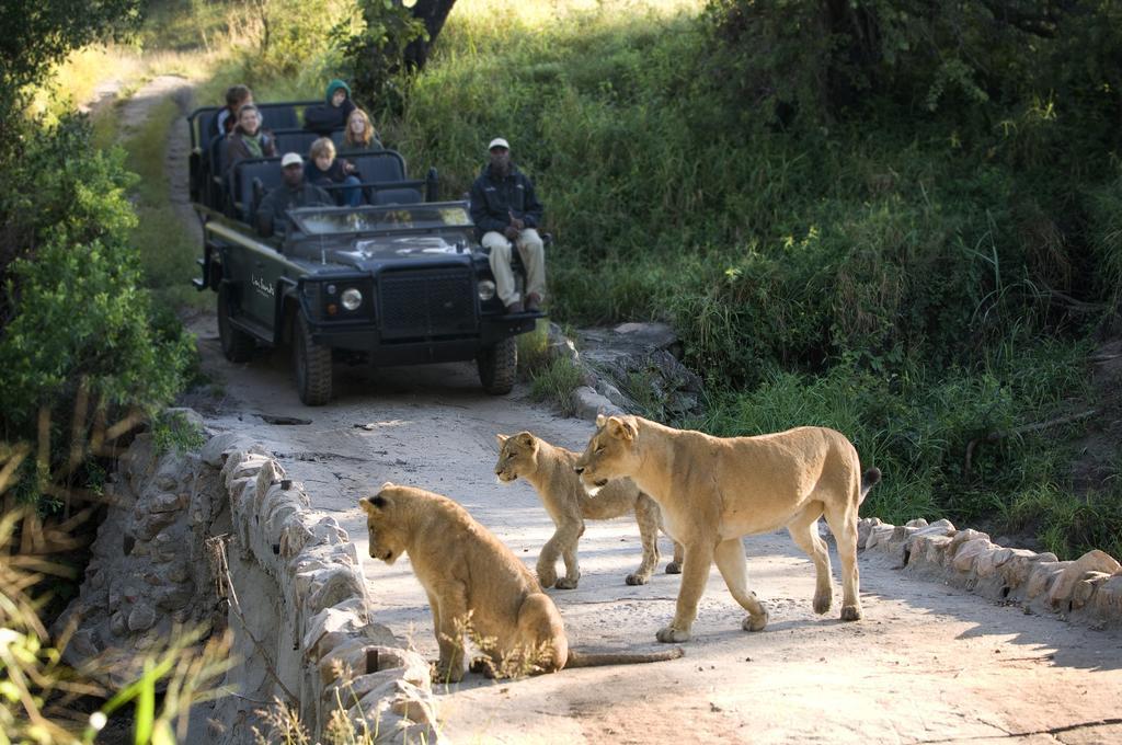 Lion Sands River Lodge Sabi Sand Game Reserve Εξωτερικό φωτογραφία