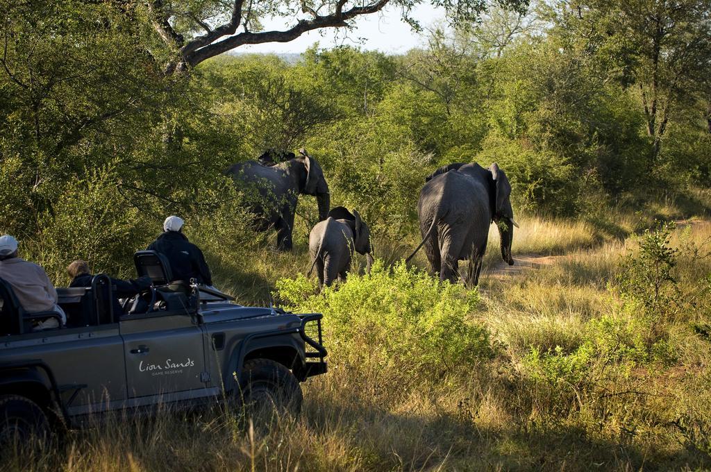 Lion Sands River Lodge Sabi Sand Game Reserve Εξωτερικό φωτογραφία