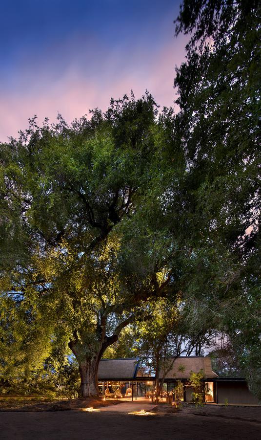 Lion Sands River Lodge Sabi Sand Game Reserve Εξωτερικό φωτογραφία